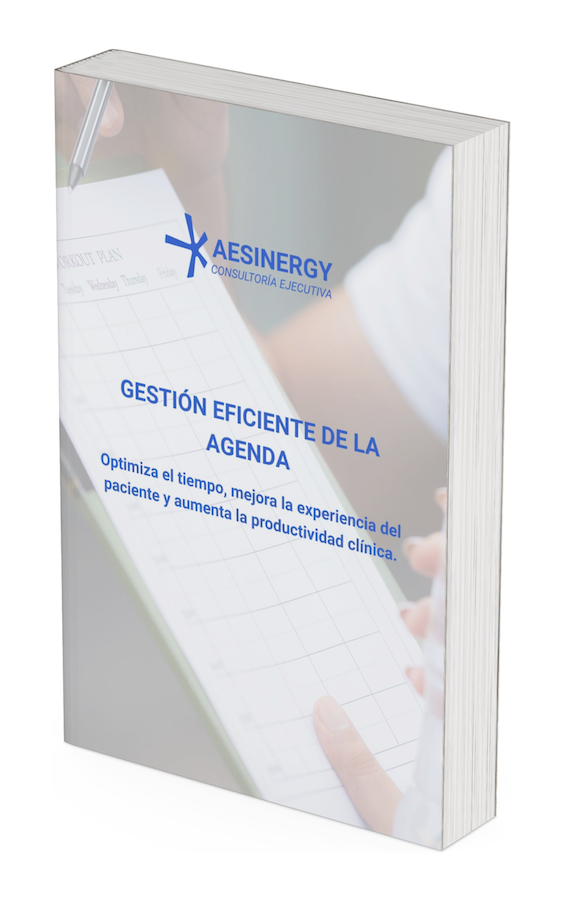 Ebook Gestión de la Agenda